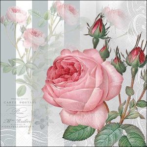 Salveta | 33 x 33 cm | W 118