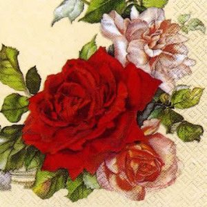 Salveta | 33 x 33 cm | W 127